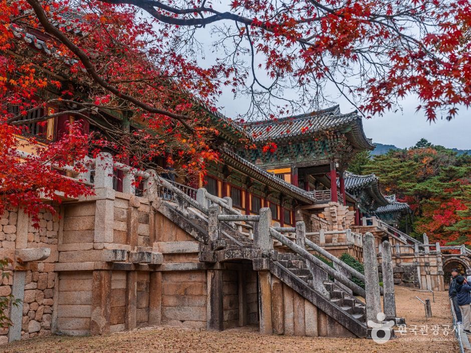 경주